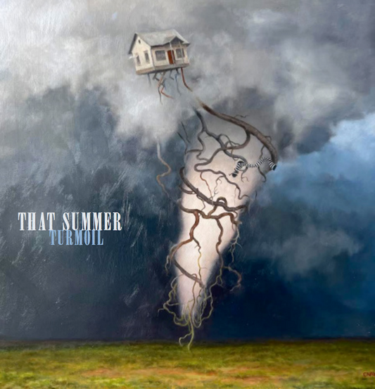 Album - Turmoil Black LP and Hoodie